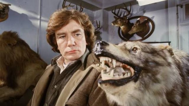 Discover Hidden Gems: Must-See Werewolf Films You Might Overlook | mpo365 daftar, mbs88 link, sidney