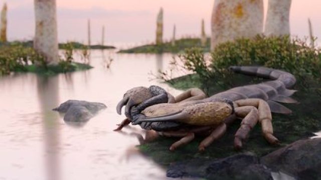Unraveling Ancient Mysteries: The Giant Scorpion of the Silurian Period | webbyslot casino, roulette